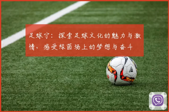 足球宁：探索足球文化的魅力与激情，感受绿茵场上的梦想与奋斗