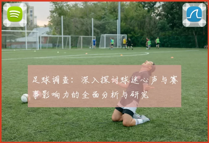 足球调查：深入探讨球迷心声与赛事影响力的全面分析与研究